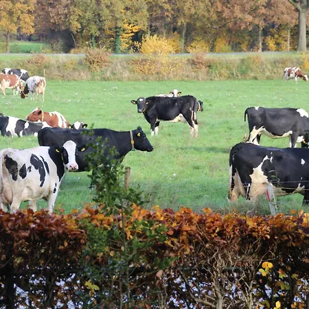 Alojamento de Acomodação e Pequeno-almoço Even Heukelom - Met Tuin