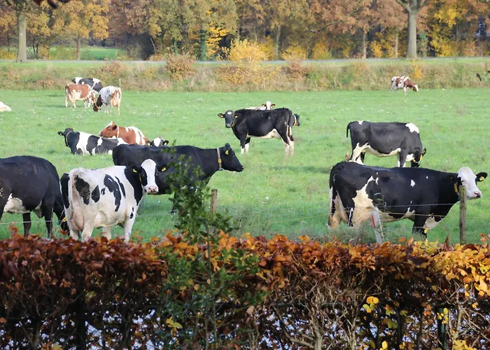 Even Heukelom - Met Tuin Alojamento de Acomodação e Pequeno-almoço Afferden (Limburg)